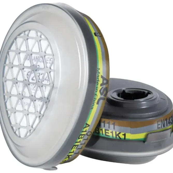 1 Paio - Filtro da Lavoro Antipolvre Cofra Q1111Q3 M508-1109